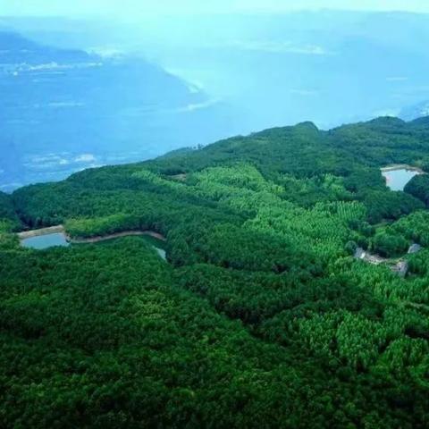 苍溪寻乐书岩进展更新