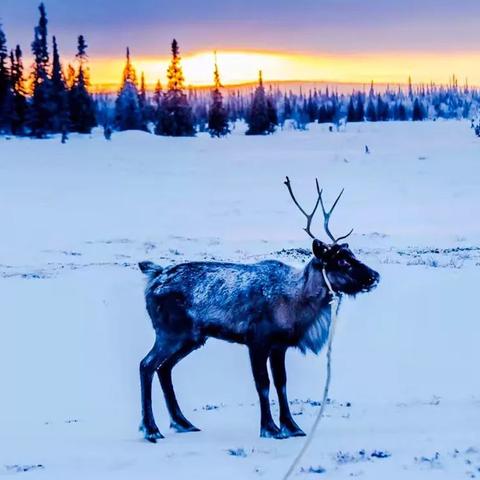 黑龙江省道209最新路况信息更新报告