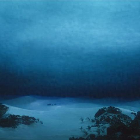 最新章节揭秘，未知世界的神秘秘密