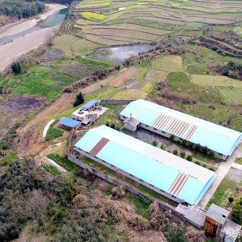 崇阳新闻网实时更新，最新消息汇总