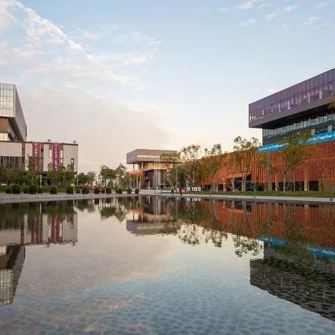 香港双非儿童父母政策解读，最新规定概览