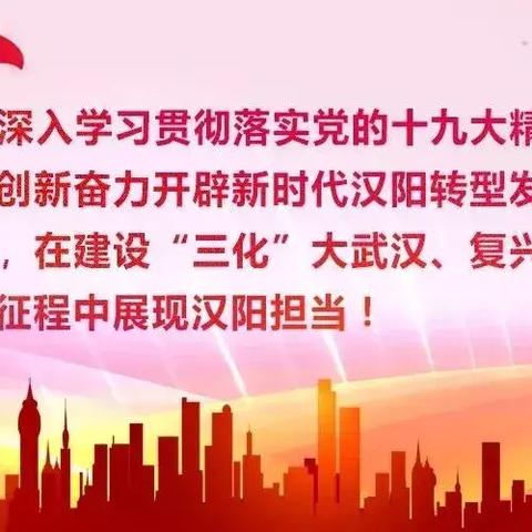 汉阳区公租房消息更新，最新动态解读