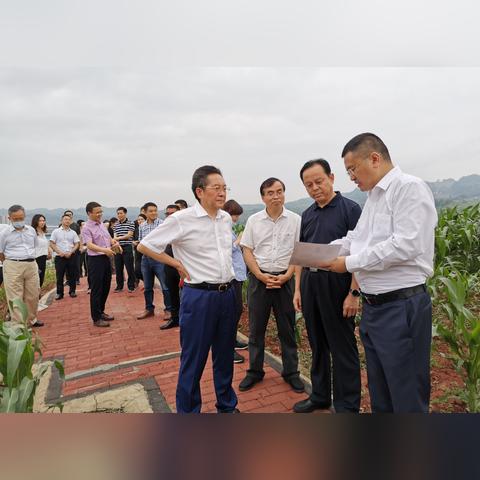 邻水工业区最新招聘启事