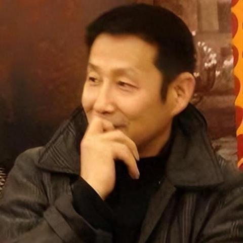 王志文最新主演电视剧，深度剖析与期待