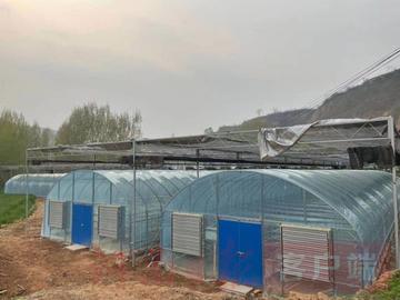 灵宝市新农村最新动态,深度报道