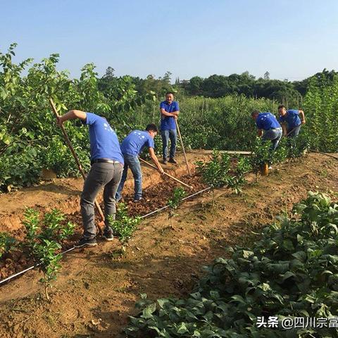 放射管理办法最新解读解析