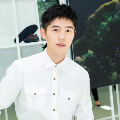 最新影视剧更新报告概览